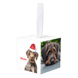 Wirehaired Pointer Dog Two Photo Christmas Holiday Decoratie