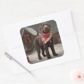 Wirehaired Pointing Dog in Sneeuw Kerstmis Vierkante Sticker (Envelop)