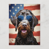 Wirehaired Pointing Griffon 4th of July Independen Briefkaart (Voorkant)