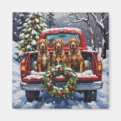 Wirehaired Pointing Griffon Christmas Red Truck Magneet (Voorkant)