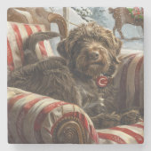 Wirehaired Pointing Griffon Dog Kerstfeest Stenen Onderzetter (Voorkant)