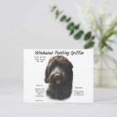 Wirehaired Pointing Griffon Geschiedenis Ontwerp Briefkaart (Staand voorkant)