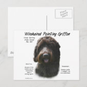 Wirehaired Pointing Griffon Geschiedenis Ontwerp Briefkaart (Voorkant / Achterkant)