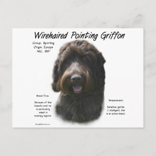 Wirehaired Pointing Griffon Geschiedenis Ontwerp Briefkaart