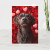 Wirehaired Pointing Griffon Hearts Valentijnsdag Kaart (Voorkant)
