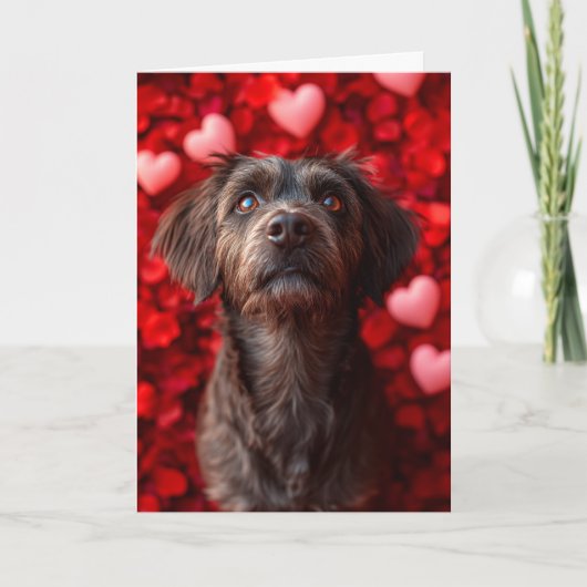Wirehaired Pointing Griffon Hearts Valentijnsdag Kaart (Voorkant)
