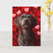 Wirehaired Pointing Griffon Hearts Valentijnsdag Kaart (Gele Bloem)