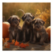 Wirehaired Pointing Griffon Puppy Autumn Perfect Poster (Voorkant)