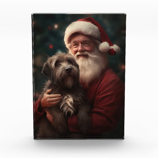 Wirehaired Pointing Griffon Sinterklaas Kerstmis Fotoblokken (Voorkant)