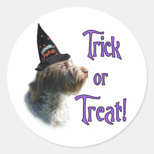 Wirehaired Pointing Griffon Trick Ronde Sticker