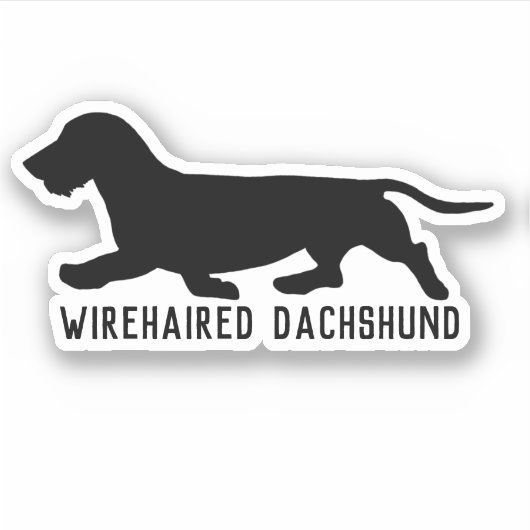 Wirehaired teckel silhouet ras sticker (Voorkant)