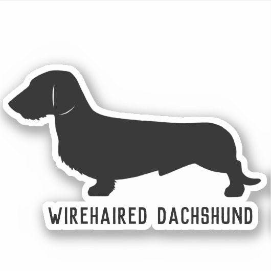 Wirehaired teckel silhouet sticker Mannelijk (Voorkant)