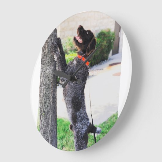 Wirehares Pointing Griffon Clock Grote Klok (Hoek)