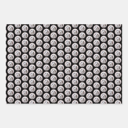 Wirehares Pointing Griffon Painting - Dog Art Inpakpapier Vel (Voorkant 3)