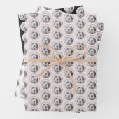 Wirehares Pointing Griffon Painting - Dog Art Inpakpapier Vel (In situ)