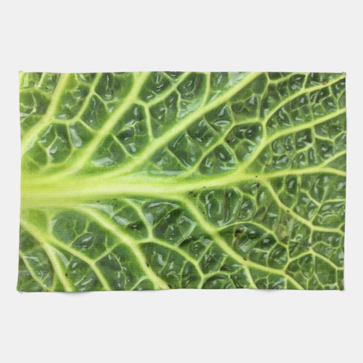 Wirsingkohl Savoy cabbage berza chou vert Theedoek (Horizontaal)