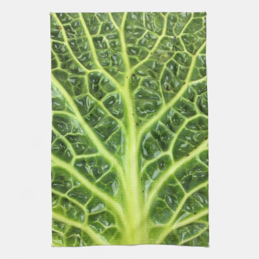 Wirsingkohl Savoy cabbage berza chou vert Theedoek (Verticaal)