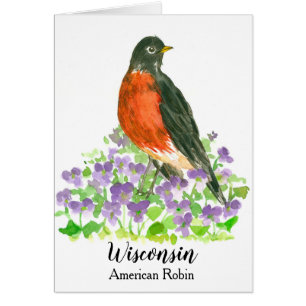 Wisconsin Amerikaanse Robin State Bird
