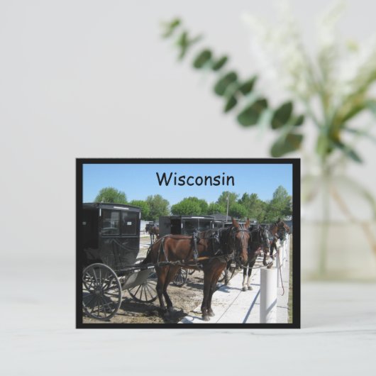 Wisconsin Amish Briefkaart (Staand voorkant)