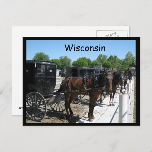 Wisconsin Amish Briefkaart (Voorkant / Achterkant)