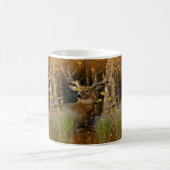 Wisconsin Big Buck Whitetail Deer Signature Mok (Center)