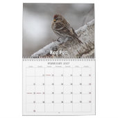 Wisconsin Birds Calendar 2026 Kalender (Feb 2027)
