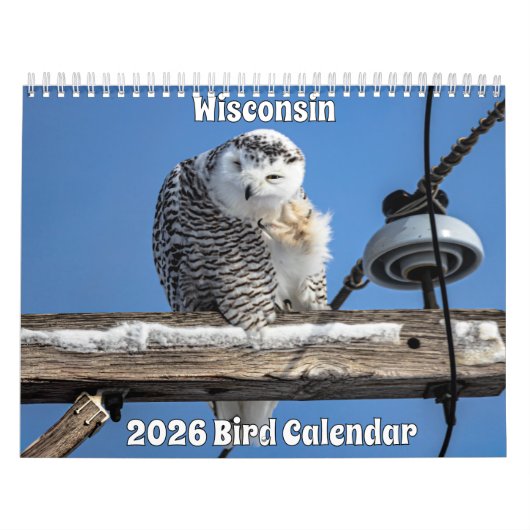Wisconsin Birds Calendar 2026 Kalender (Hoes)