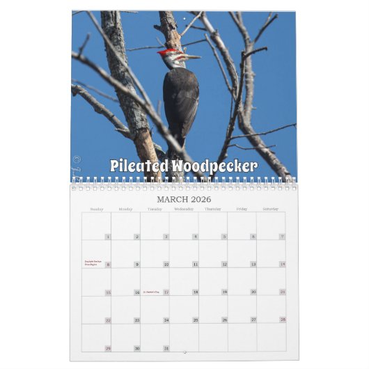 Wisconsin Birds Calendar 2026 Kalender (Mar 2026)