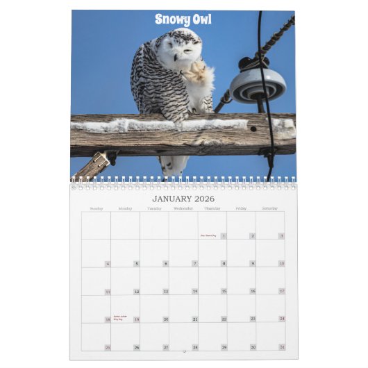 Wisconsin Birds Calendar 2026 Kalender (Jan 2026)