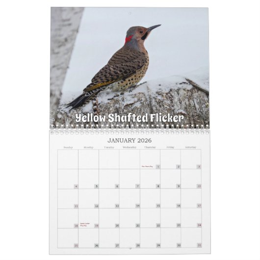 Wisconsin Birds Calendar 2026 Kalender (Jan 2026)
