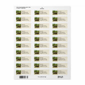 Wisconsin Bizon Etiket (Full Sheet)