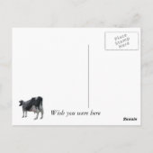 Wisconsin Briefkaart (Achterkant)