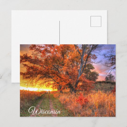 Wisconsin Briefkaart (Voorkant / Achterkant)