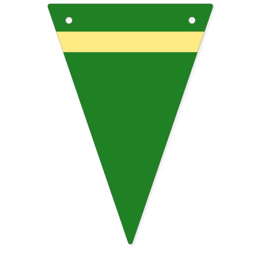 Wisconsin Cheesehead Greenbay Party Banner (Tweede vlag)