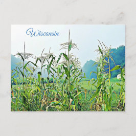 Wisconsin Corn Stalks Midwest Foto Briefkaart