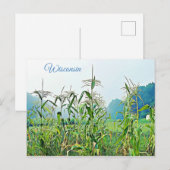 Wisconsin Corn Stalks Midwest Foto Briefkaart (Voorkant / Achterkant)