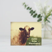 Wisconsin Cow Photo Briefkaart (Staand voorkant)