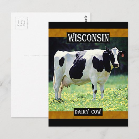 Wisconsin Dairy Cow Briefkaart (Voorkant / Achterkant)