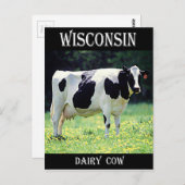 Wisconsin Dairy Cow Briefkaart (Voorkant / Achterkant)