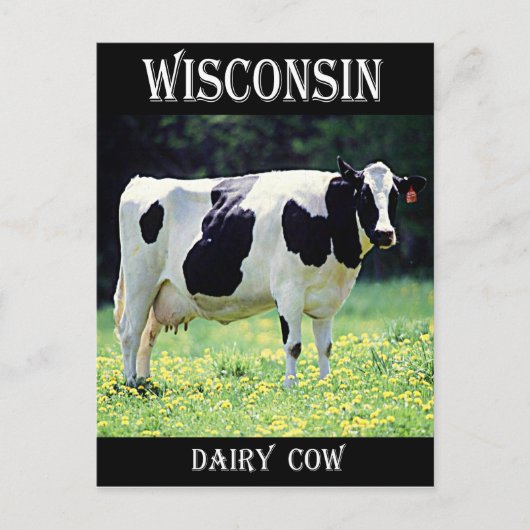 Wisconsin Dairy Cow Briefkaart (Voorkant)