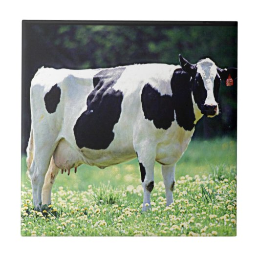 Wisconsin Dairy Cow Tegeltje (Voorkant)