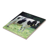 Wisconsin Dairy Cow Tegeltje (Zijkant)