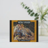Wisconsin de deelstaat Badger Briefkaart (Staand voorkant)