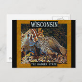 Wisconsin de deelstaat Badger Briefkaart (Voorkant / Achterkant)