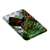 Wisconsin Dells Magneet (Rechterzijde)