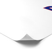 Wisconsin Democat Poster (Hoek)