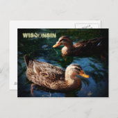 Wisconsin Ducks Briefkaart (Voorkant / Achterkant)