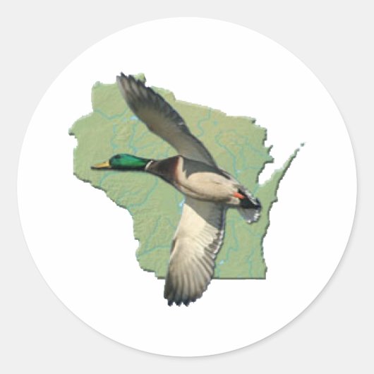 Wisconsin-eend Ronde Sticker (Voorkant)