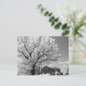 Wisconsin Farm Postcard Briefkaart (Staand voorkant)