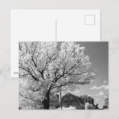 Wisconsin Farm Postcard Briefkaart (Voorkant / Achterkant)